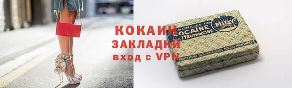 молекула духа Каменск-Шахтинский