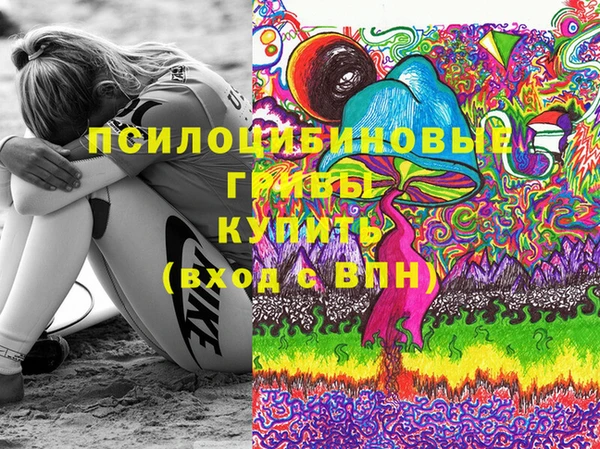 молекула духа Каменск-Шахтинский