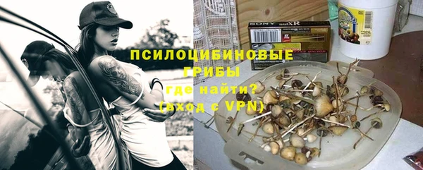 твердый Касимов