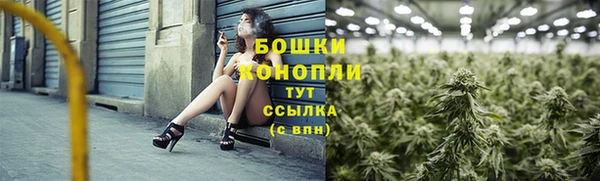 молекула духа Каменск-Шахтинский