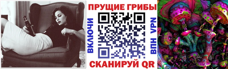 Купить закладки  Михайловка  Галлюциногенные грибы Magic Shrooms 